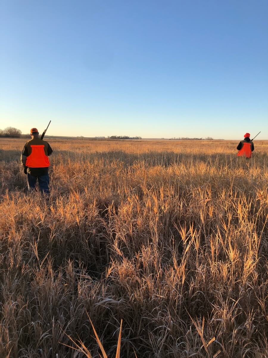 President/Treasurer/Web Manager